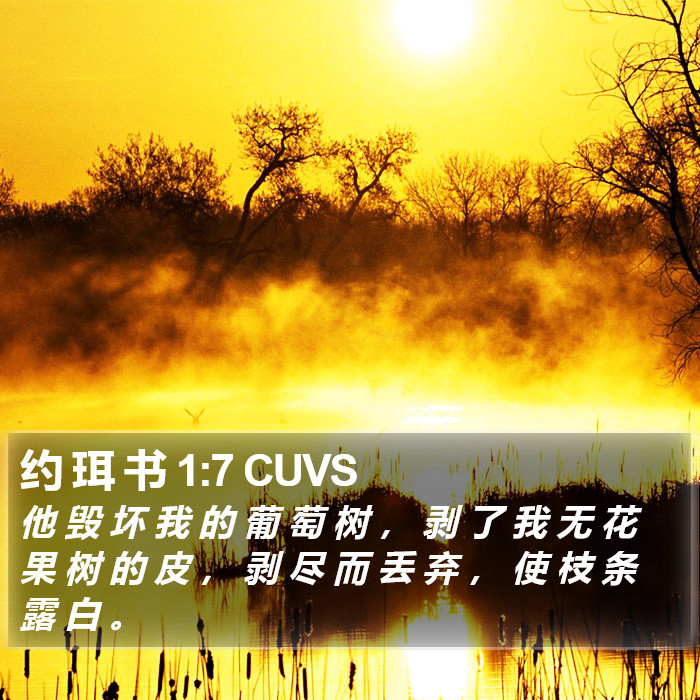 约 珥 书 1:7 CUVS Bible Study