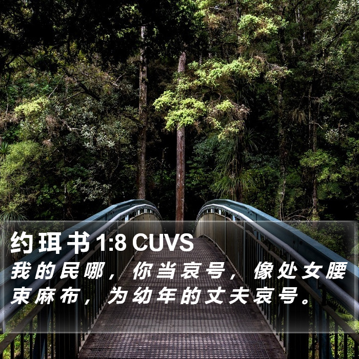 约 珥 书 1:8 CUVS Bible Study