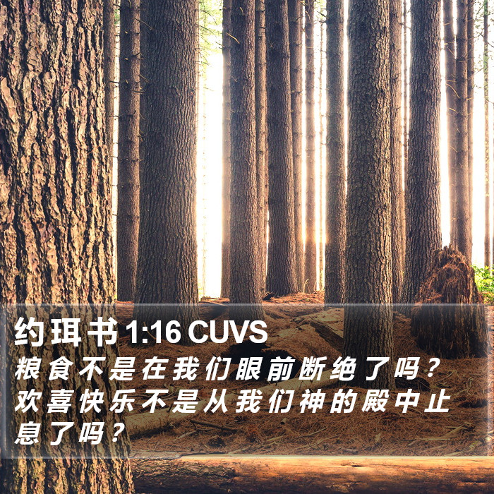 约 珥 书 1:16 CUVS Bible Study