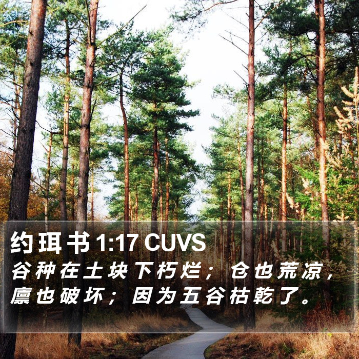 约 珥 书 1:17 CUVS Bible Study