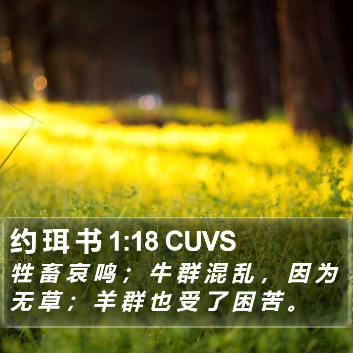 约 珥 书 1:18 CUVS Bible Study