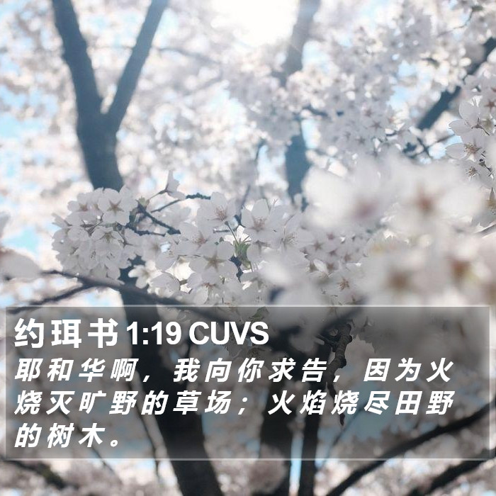 约 珥 书 1:19 CUVS Bible Study