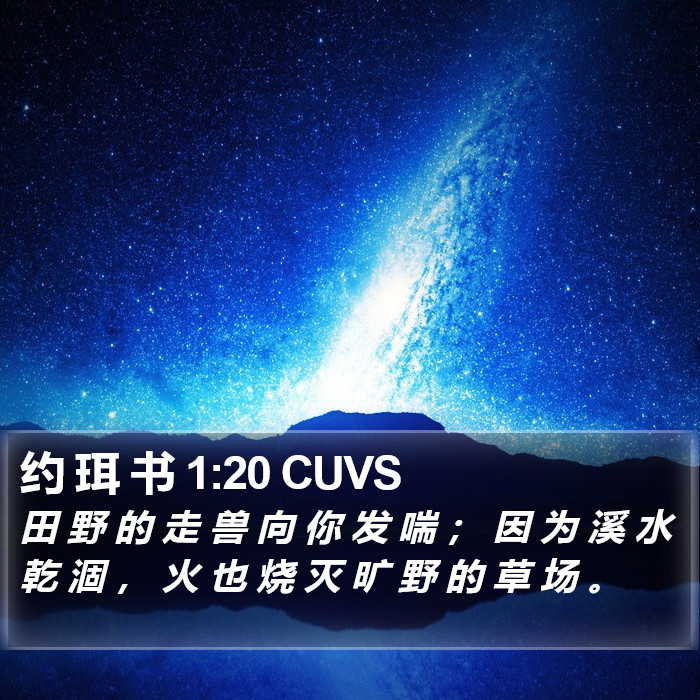 约 珥 书 1:20 CUVS Bible Study