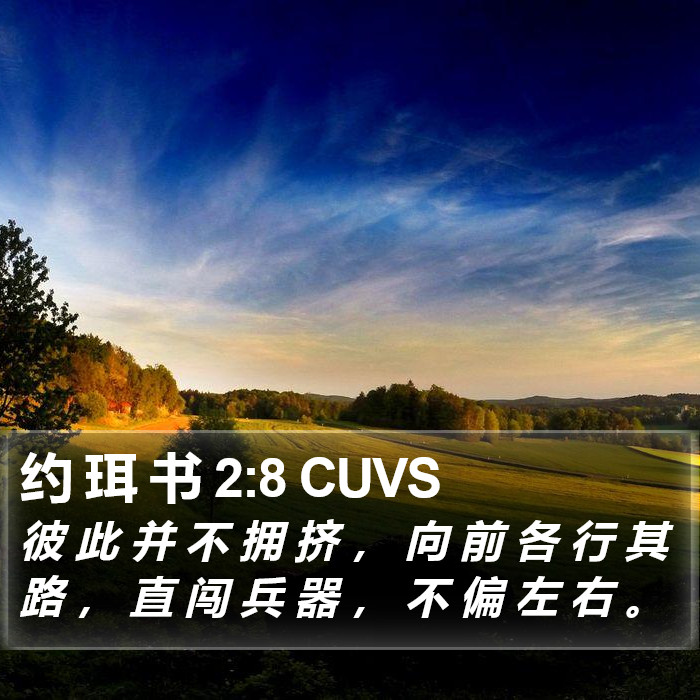 约 珥 书 2:8 CUVS Bible Study