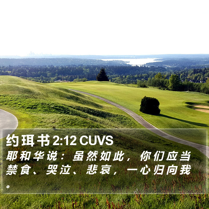 约 珥 书 2:12 CUVS Bible Study