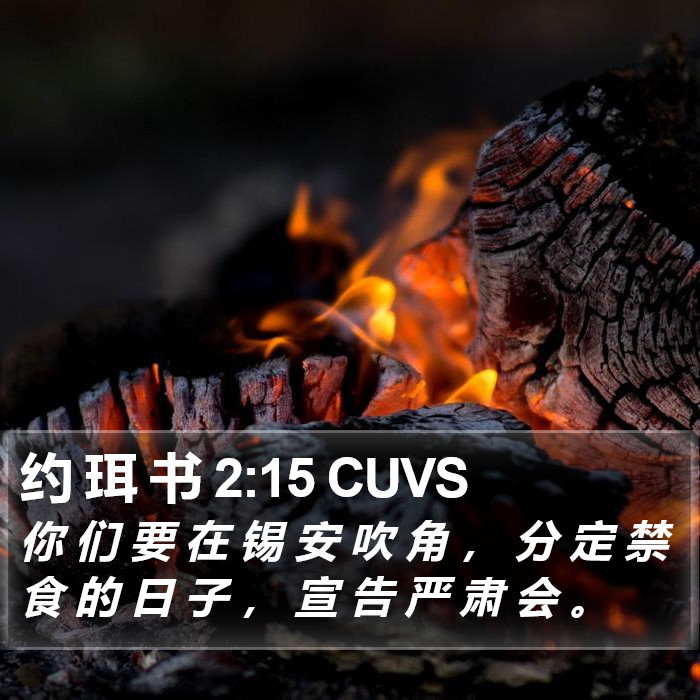 约 珥 书 2:15 CUVS Bible Study