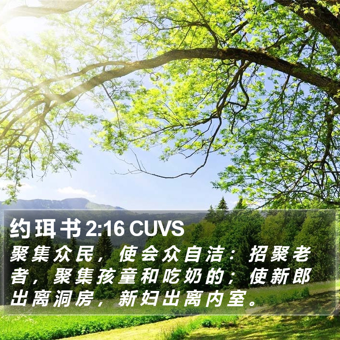 约 珥 书 2:16 CUVS Bible Study