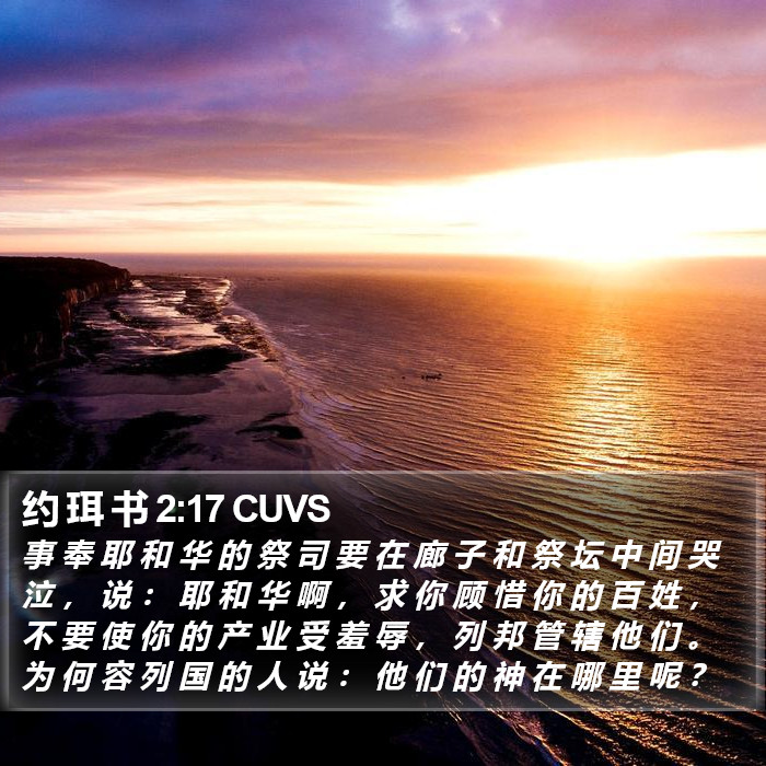 约 珥 书 2:17 CUVS Bible Study