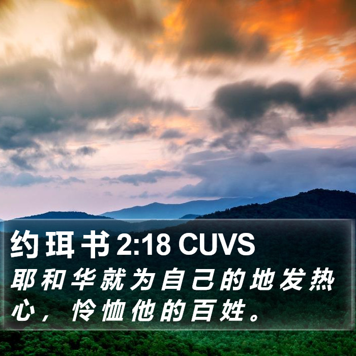 约 珥 书 2:18 CUVS Bible Study