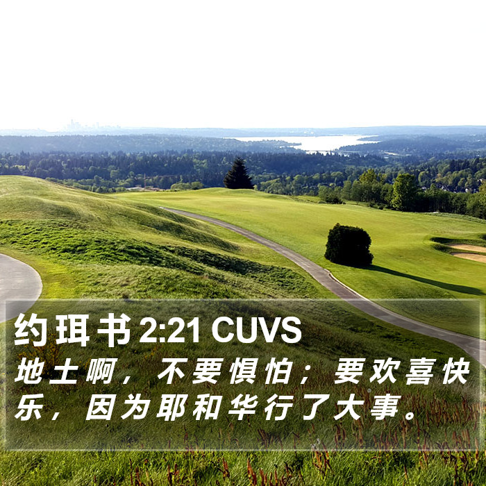 约 珥 书 2:21 CUVS Bible Study