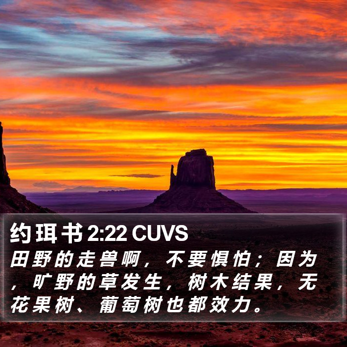 约 珥 书 2:22 CUVS Bible Study