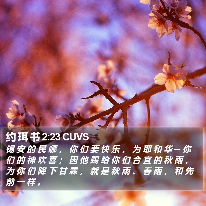 约 珥 书 2:23 CUVS Bible Study