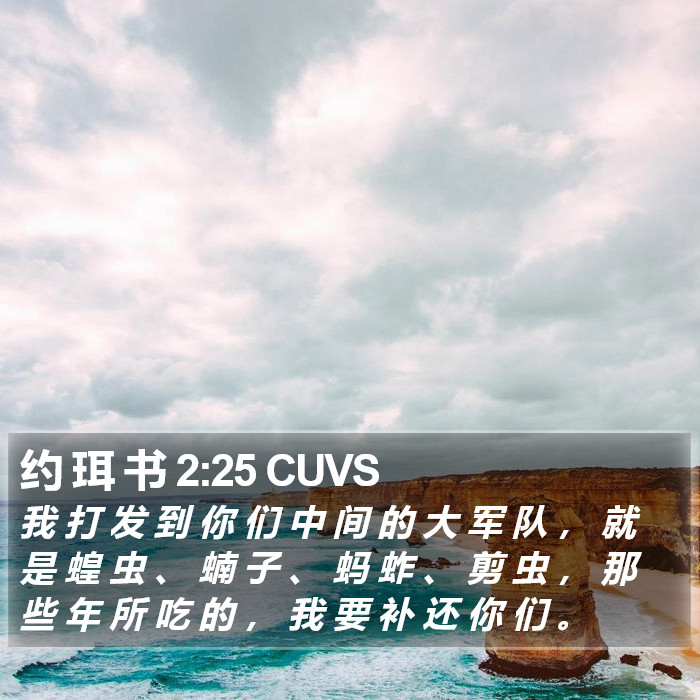 约 珥 书 2:25 CUVS Bible Study