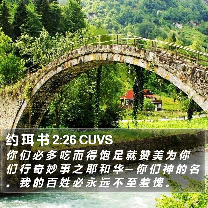 约 珥 书 2:26 CUVS Bible Study