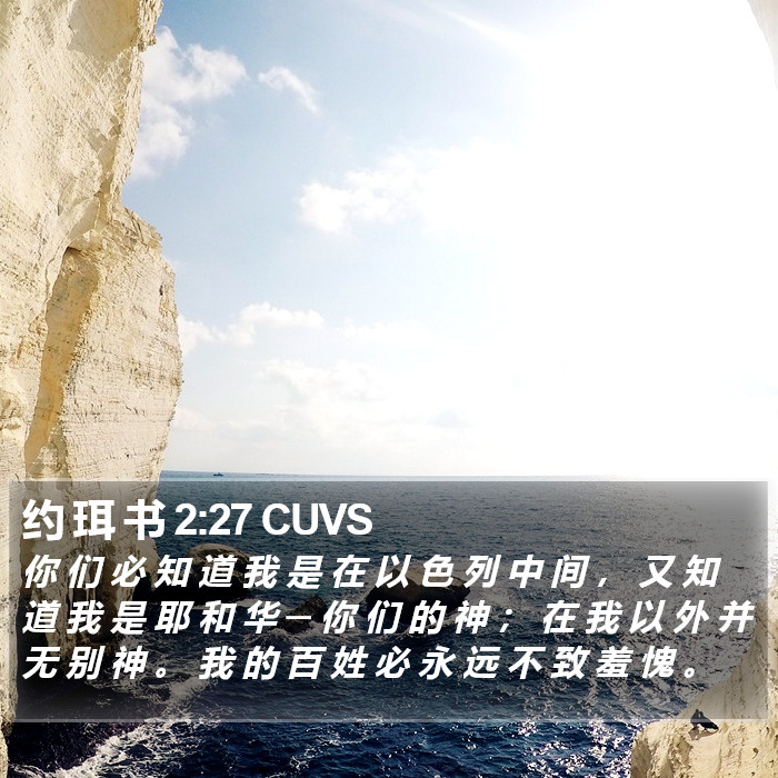 约 珥 书 2:27 CUVS Bible Study