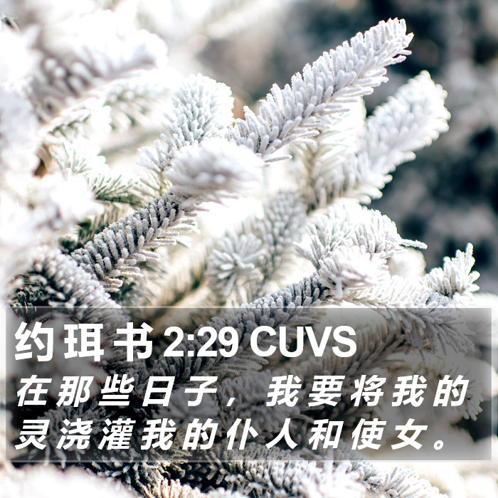 约 珥 书 2:29 CUVS Bible Study