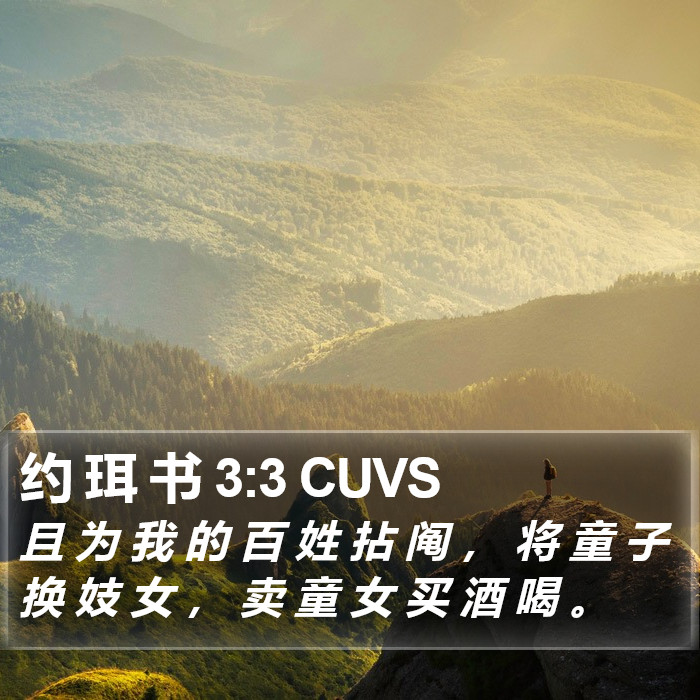 约 珥 书 3:3 CUVS Bible Study