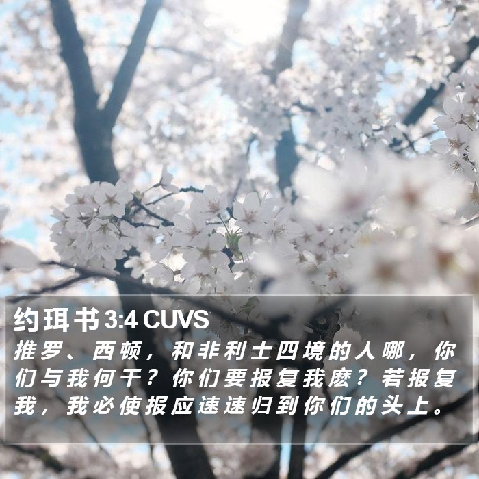 约 珥 书 3:4 CUVS Bible Study