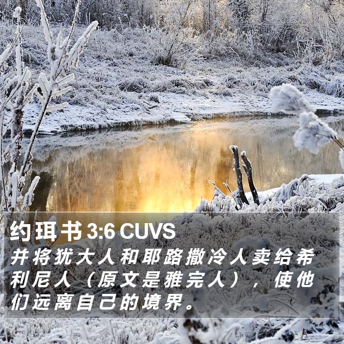 约 珥 书 3:6 CUVS Bible Study