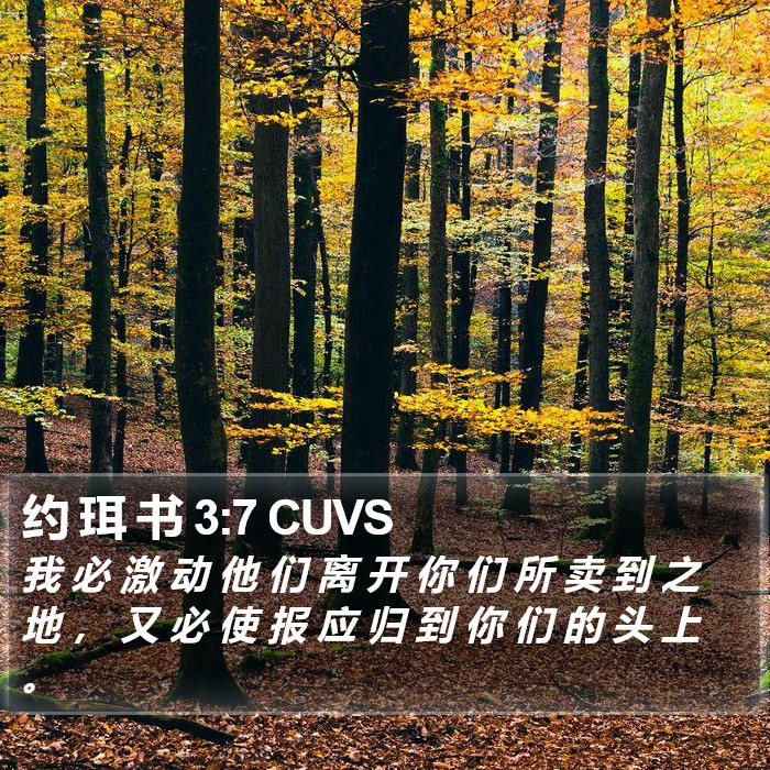 约 珥 书 3:7 CUVS Bible Study