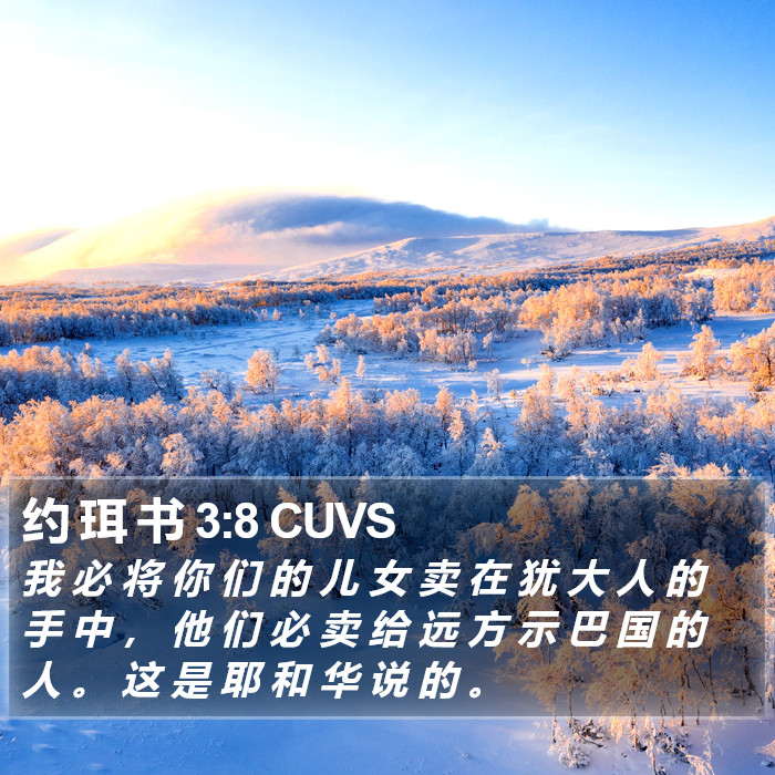 约 珥 书 3:8 CUVS Bible Study