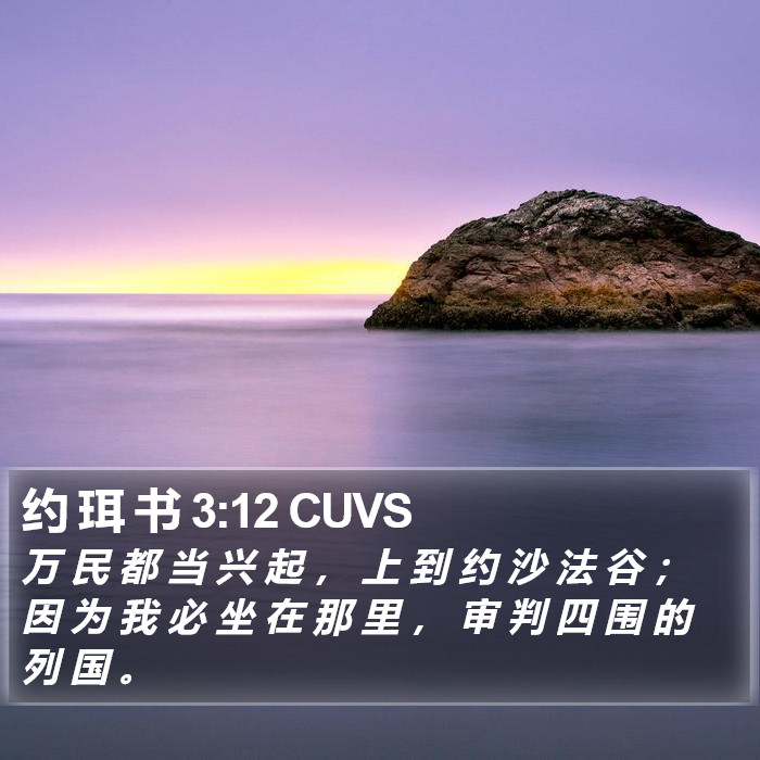 约 珥 书 3:12 CUVS Bible Study