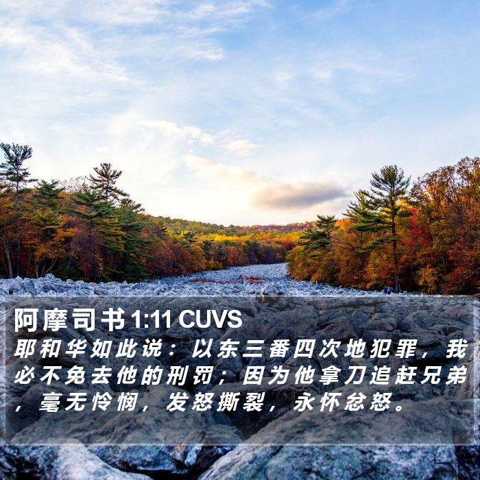 阿 摩 司 书 1:11 CUVS Bible Study