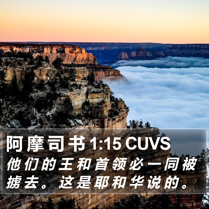 阿 摩 司 书 1:15 CUVS Bible Study