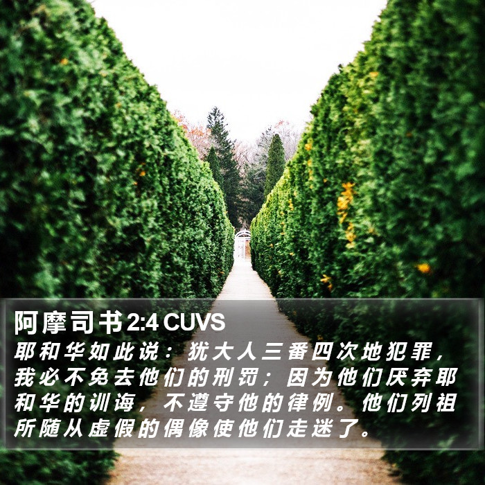 阿 摩 司 书 2:4 CUVS Bible Study