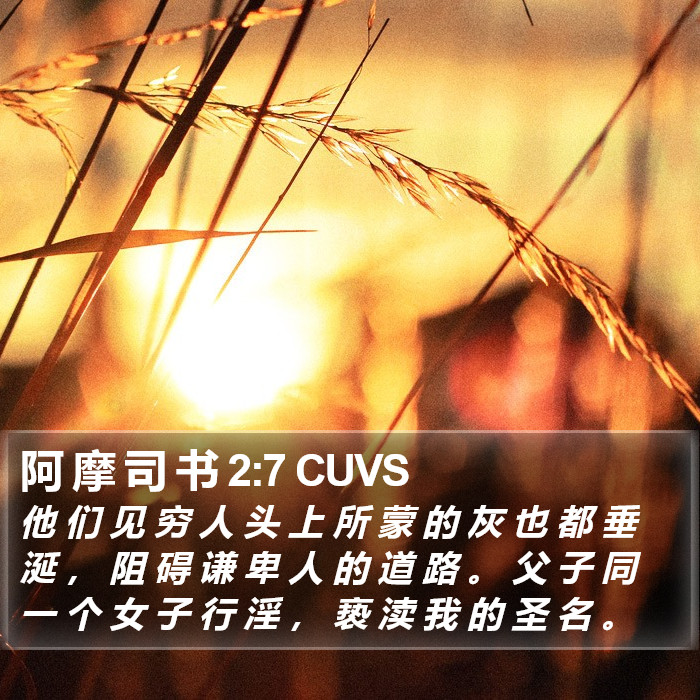 阿 摩 司 书 2:7 CUVS Bible Study