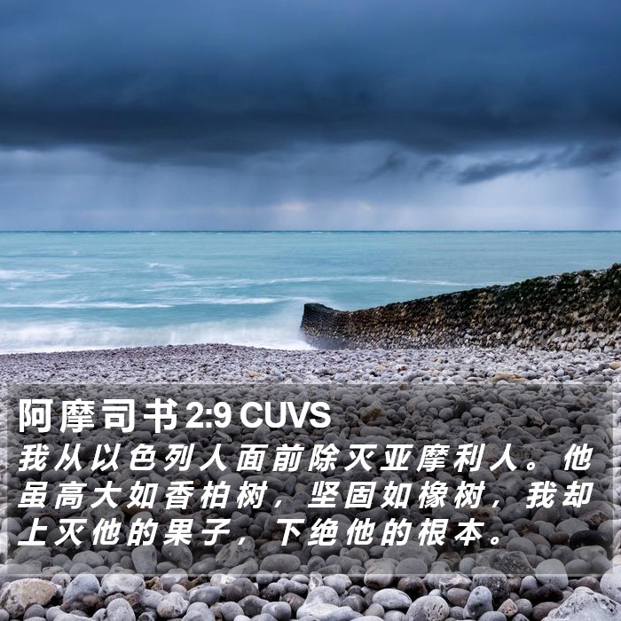 阿 摩 司 书 2:9 CUVS Bible Study