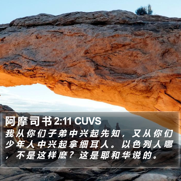 阿 摩 司 书 2:11 CUVS Bible Study