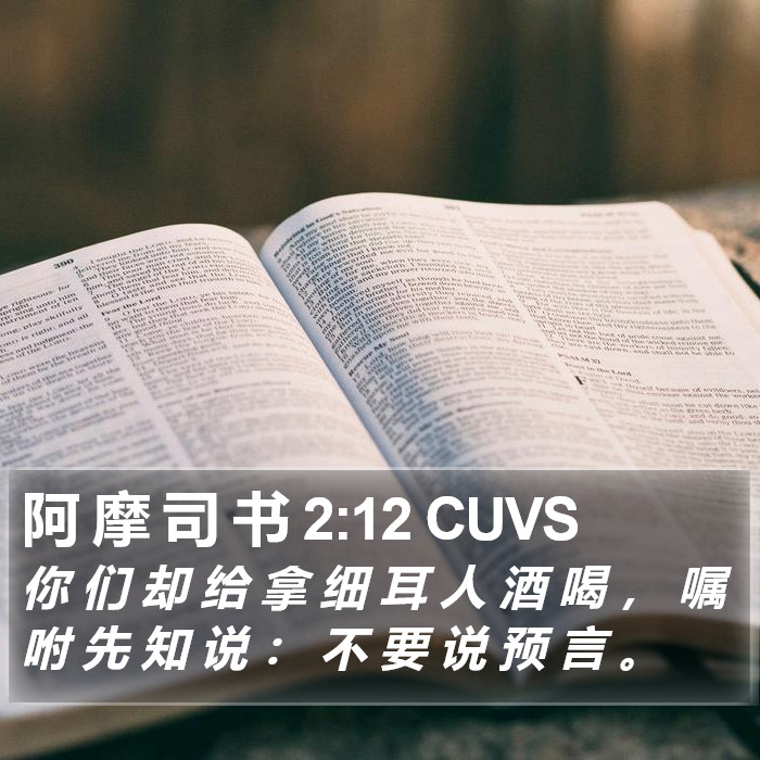 阿 摩 司 书 2:12 CUVS Bible Study