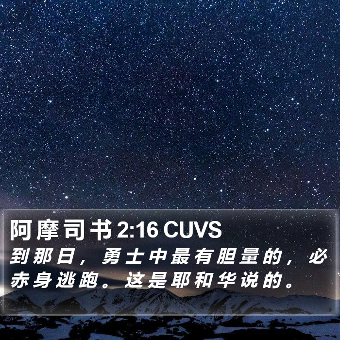 阿 摩 司 书 2:16 CUVS Bible Study