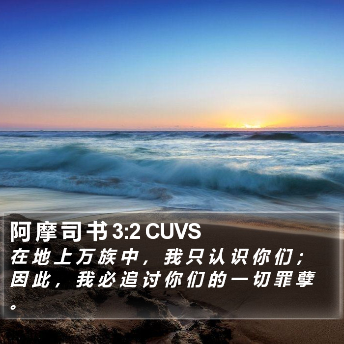 阿 摩 司 书 3:2 CUVS Bible Study