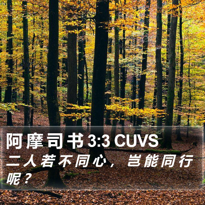阿 摩 司 书 3:3 CUVS Bible Study