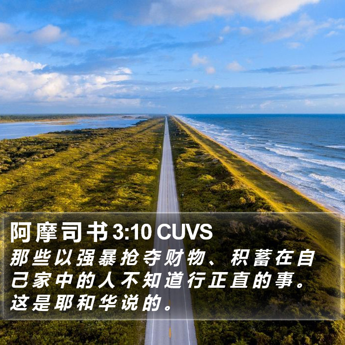 阿 摩 司 书 3:10 CUVS Bible Study