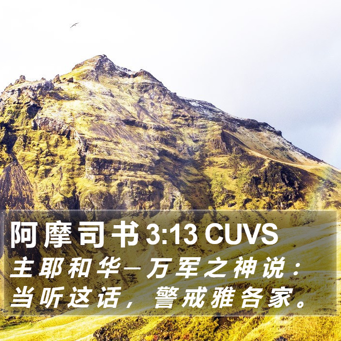 阿 摩 司 书 3:13 CUVS Bible Study