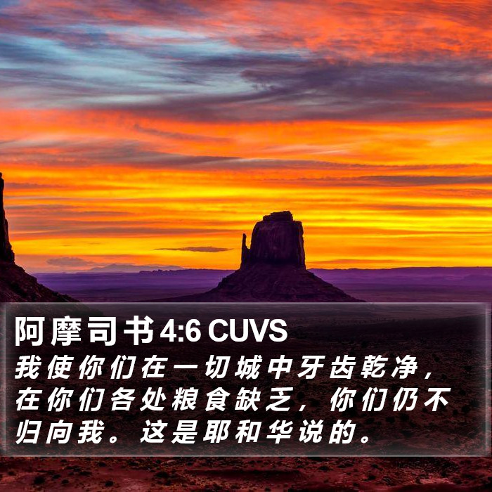 阿 摩 司 书 4:6 CUVS Bible Study