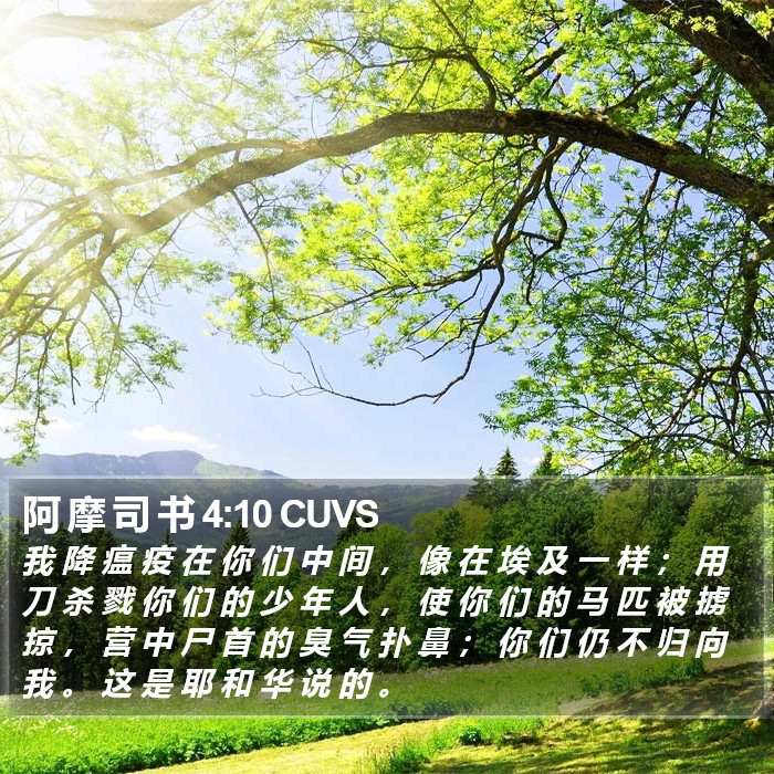 阿 摩 司 书 4:10 CUVS Bible Study