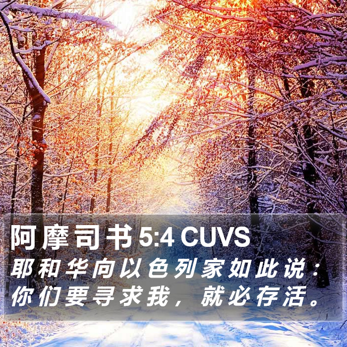 阿 摩 司 书 5:4 CUVS Bible Study