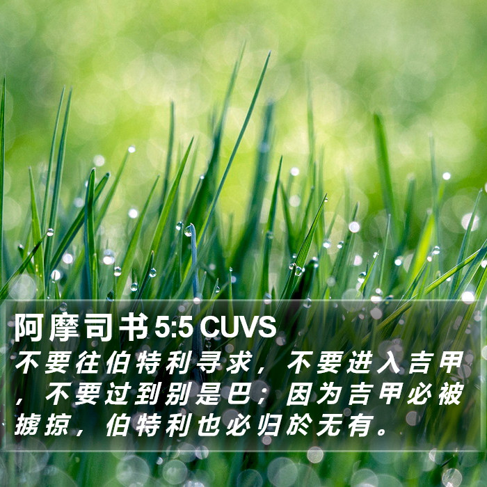 阿 摩 司 书 5:5 CUVS Bible Study