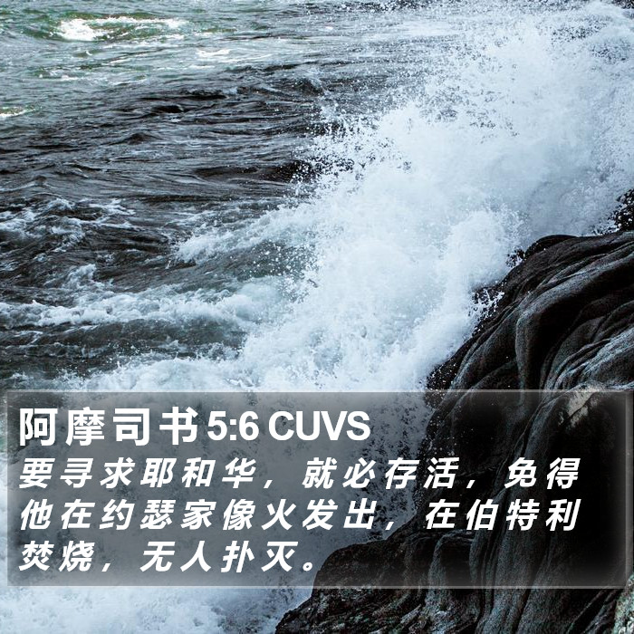 阿 摩 司 书 5:6 CUVS Bible Study