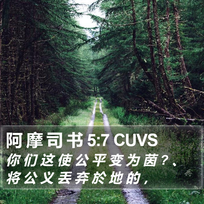 阿 摩 司 书 5:7 CUVS Bible Study
