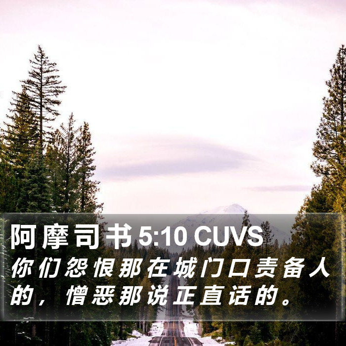 阿 摩 司 书 5:10 CUVS Bible Study