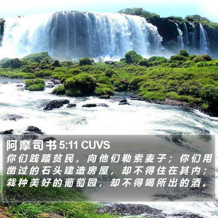阿 摩 司 书 5:11 CUVS Bible Study