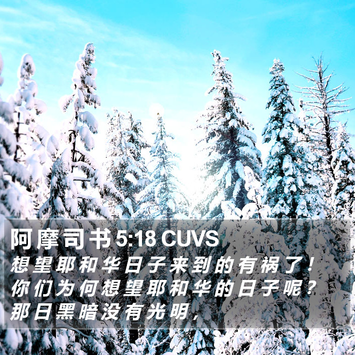 阿 摩 司 书 5:18 CUVS Bible Study