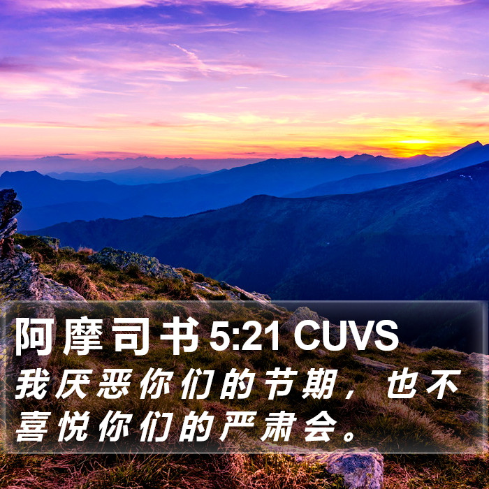 阿 摩 司 书 5:21 CUVS Bible Study