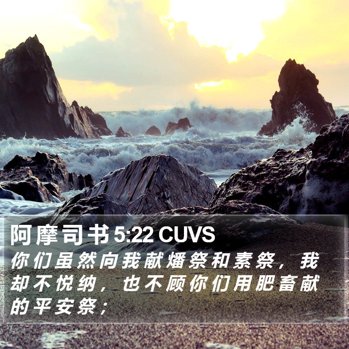 阿 摩 司 书 5:22 CUVS Bible Study