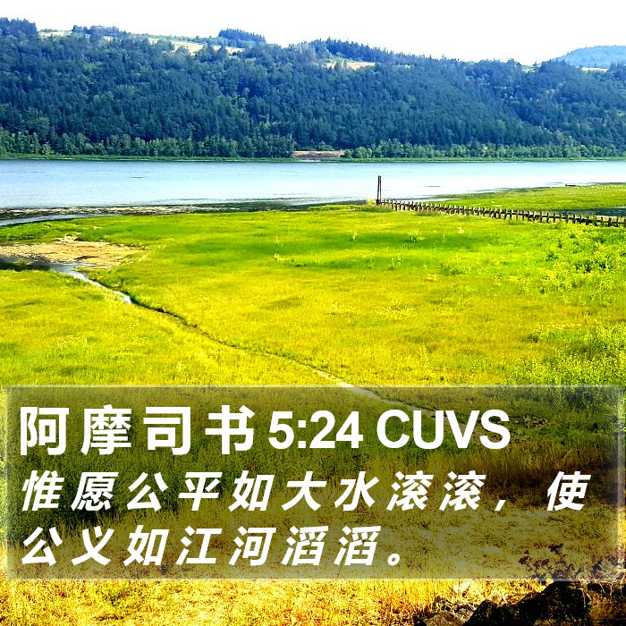 阿 摩 司 书 5:24 CUVS Bible Study